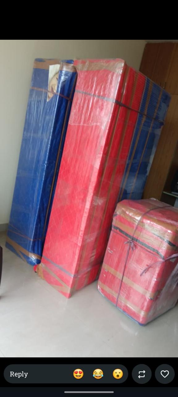 Professional Packers